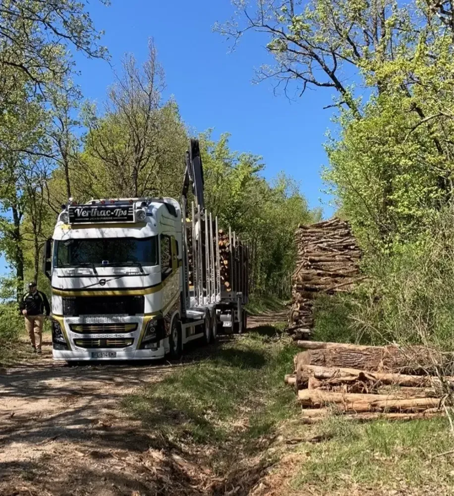 Debardage-bois