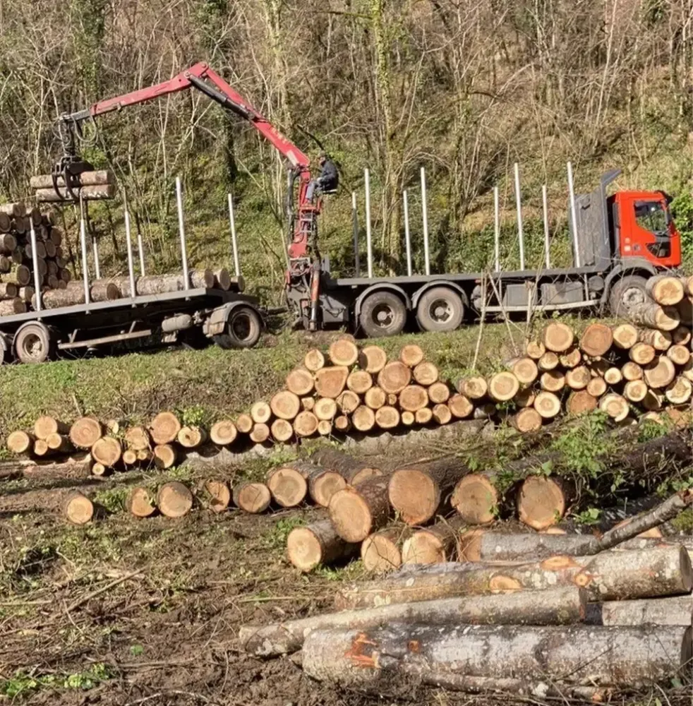 Recuperation-bois vente