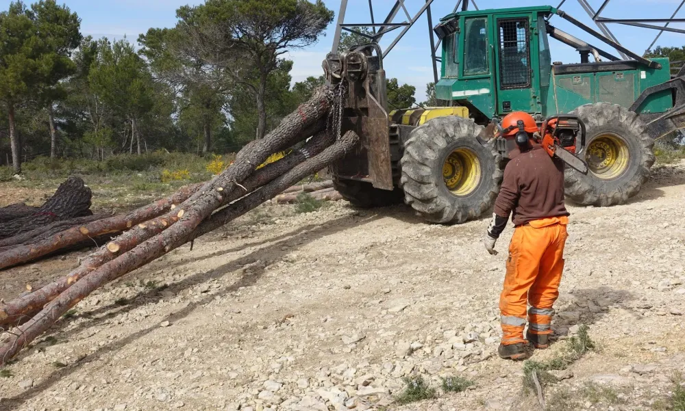 Négoce de bois à Saint-Projet