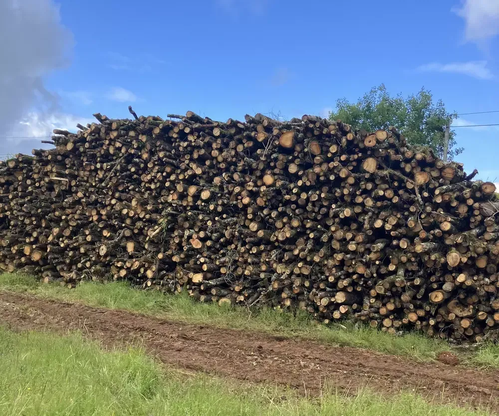 Vente-de-bois