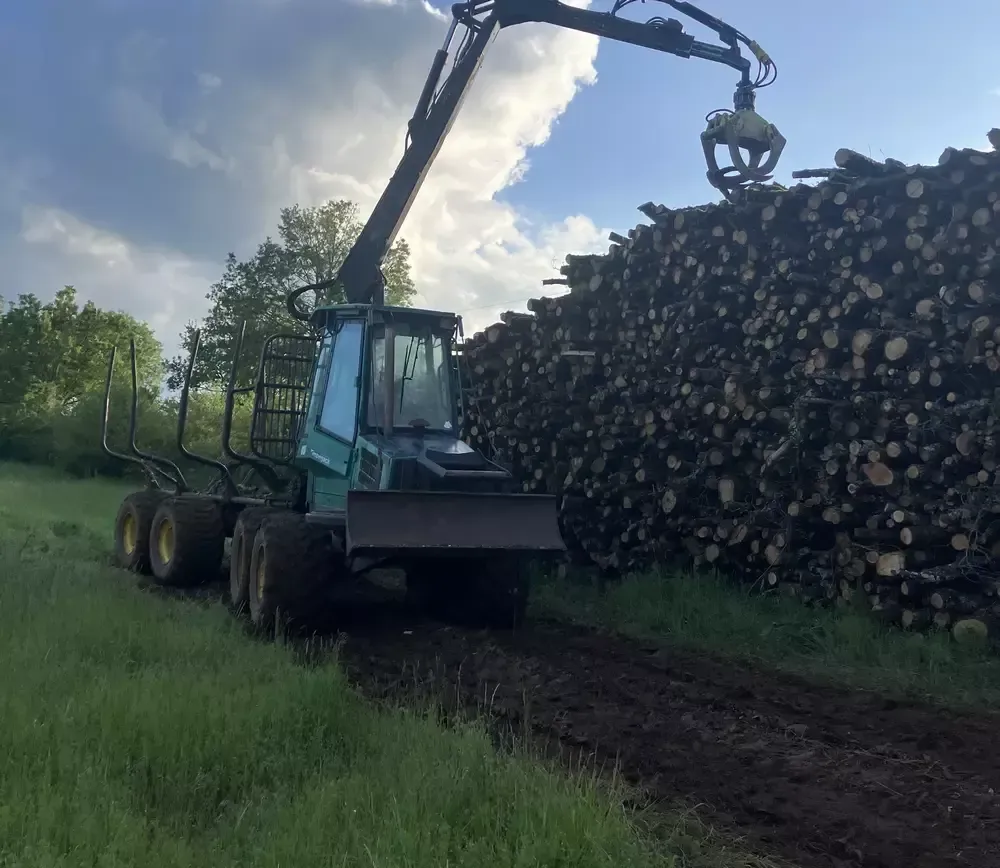Achat-de-bois