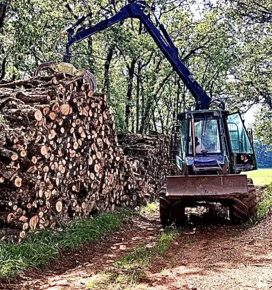 Vente-de-bois chauffage